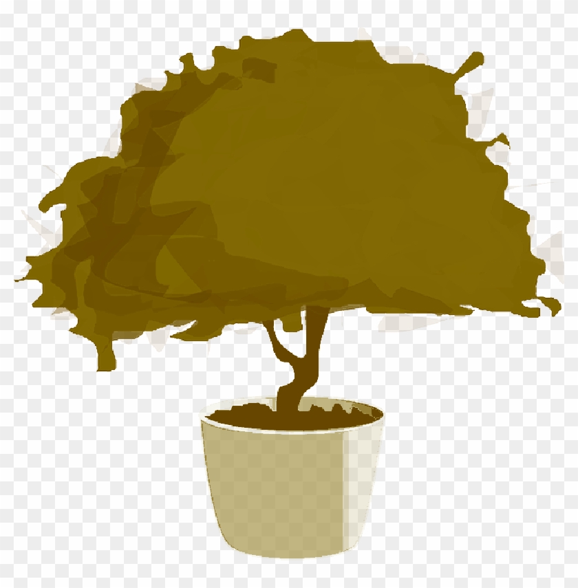 Mb Image/png - Bonsai #1330079