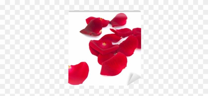 Red #1330187