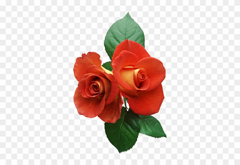 Картинки Цветы Png,gif - Subho Jonmodin Maa Gif #1330239