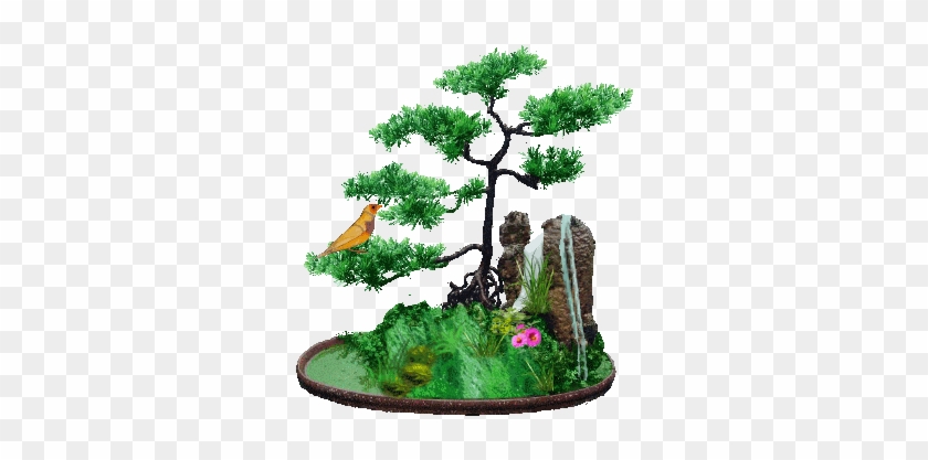 Photo Bonsai 1 - 平安 健康 Gif #1330497