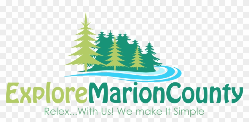 Site Logo - Explain This To Me: Our Us School: A Practical Spanish-english #1330649