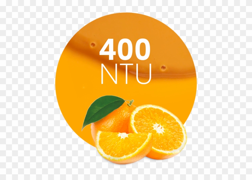 Orange Concentrate 2-fold Turbidity 400 Ntu - Orange #1331211