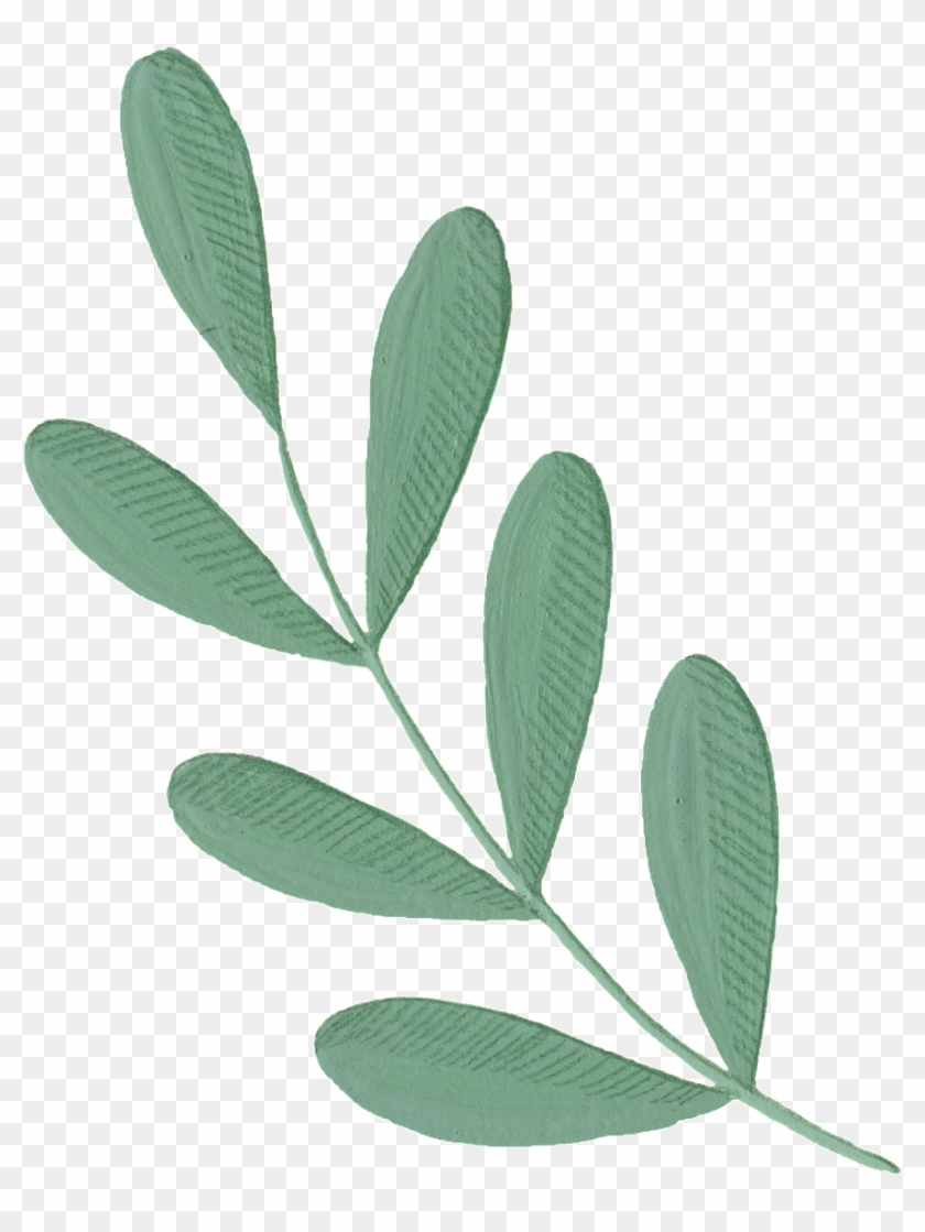 Cartoon Leaf Png Material - Illustration #1331388