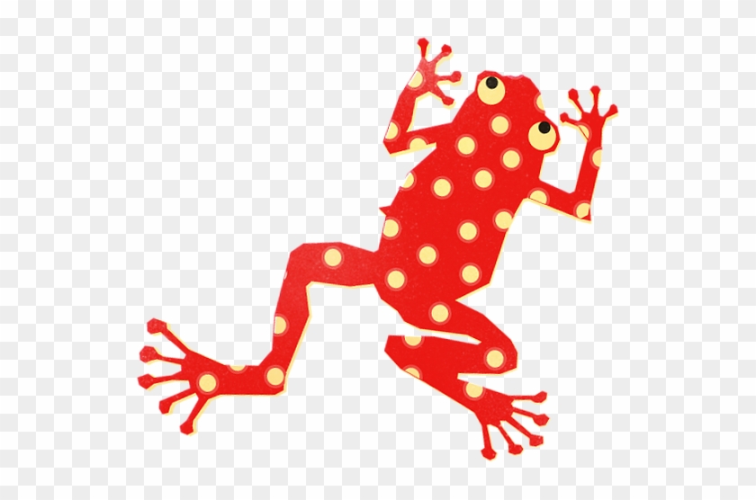 We - Frog #1331440