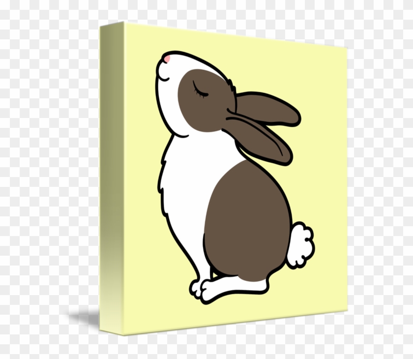 Rabbit #1331897
