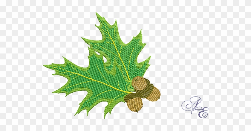 Oak Cluster2 Medium - Gambel Oak #1332522