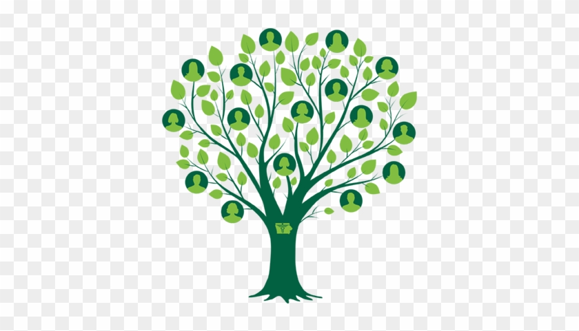 National Family - Family Tree Transparent #1332586