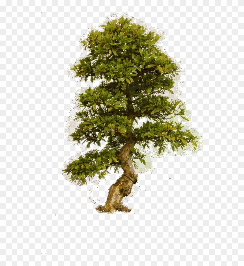 Zip File Link Is In The End Of The Post - All Png And Background Download #1333711