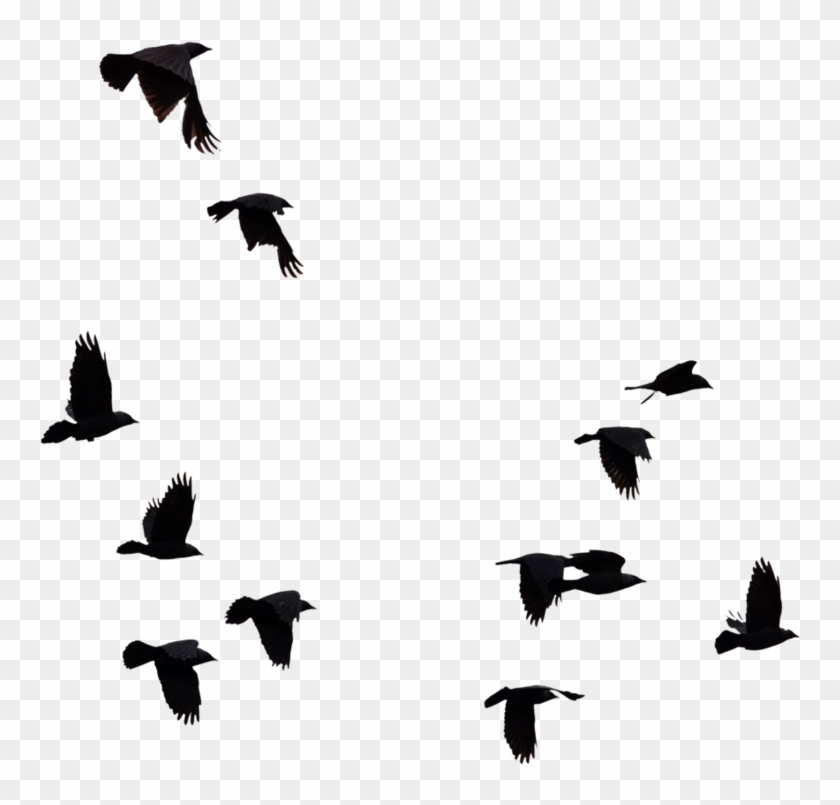 Png Images For Ios Users, Will Upload Zip File Soon - Bird Cut Out Photoshop #1333732