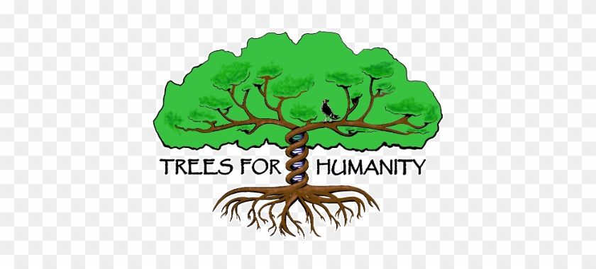 Tree #1333927