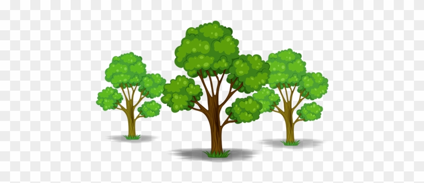 Tree-icon - Tree Cartoon Clipart #1333937