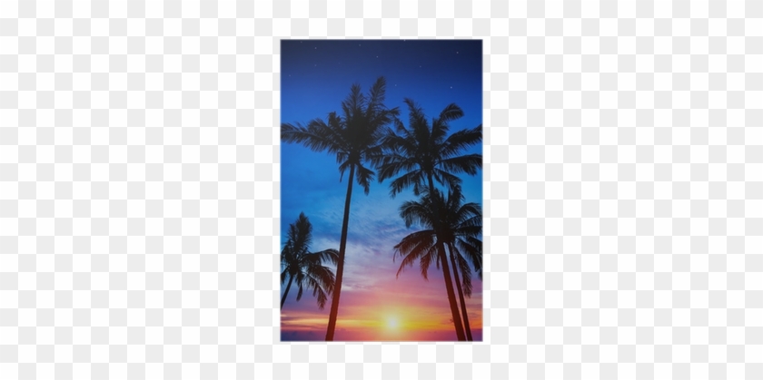 Palm Trees, Sunset And The Starry Sky Poster • Pixers® - Keep Calm & Dance In Ibiza - Various - Download #1334491