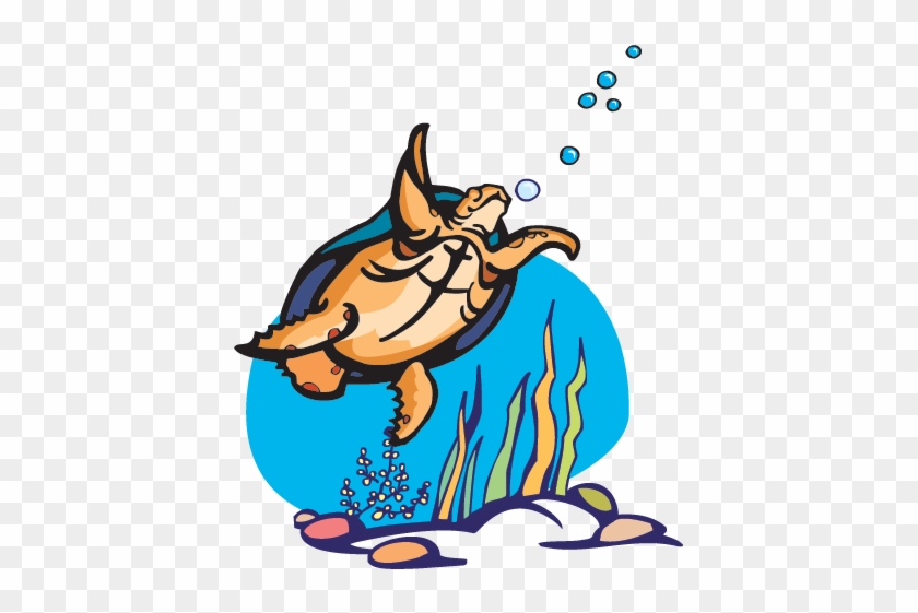 Pbs Has A Full List Of Nature Programs Focused On Endangered - Turtles Rock! Note Cards #1334813