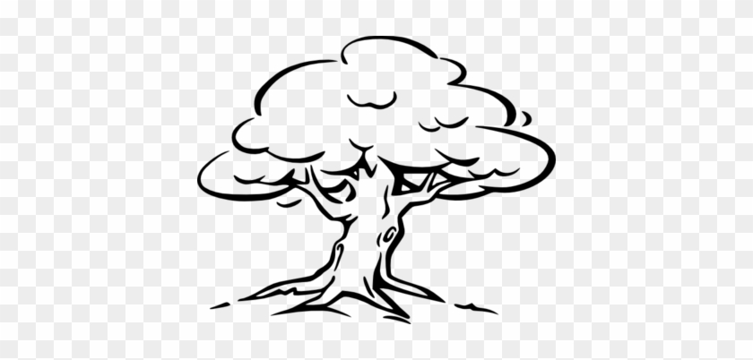 Coloring Trend Thumbnail Size Tree Branch Silhouette - Outline Of A Tree #1334957