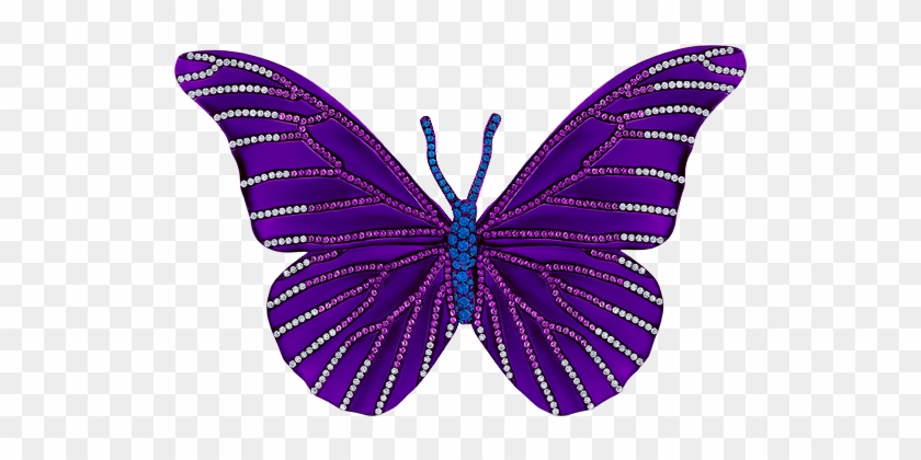 Purple Butterfly Brooch - Internet #1334985
