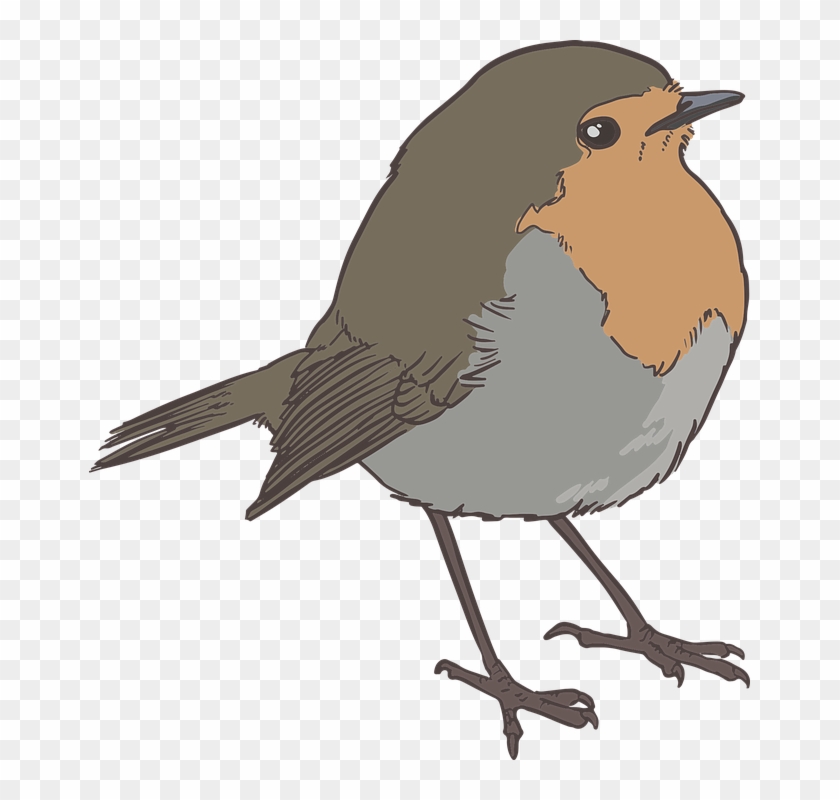 Sparrow Png 17, Buy Clip Art - Bird #1334999