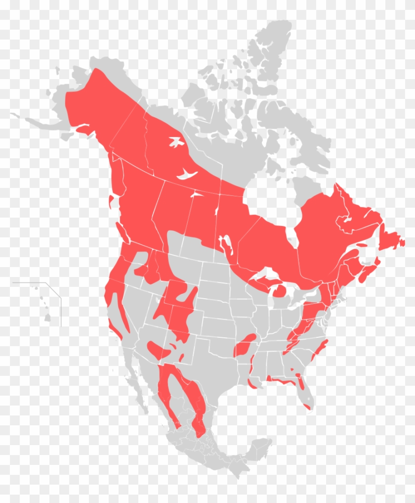 Wyoming Game And Fish Department Grizzly Bear Management - Canada Take Over Usa #1335175