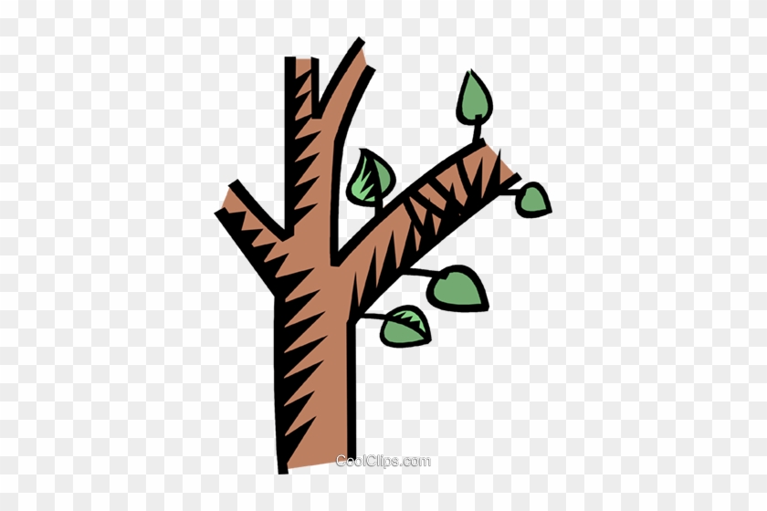 Rama De Árbol Libres De Derechos Ilustraciones De Vectores - Galho De Arvore Png #1335370