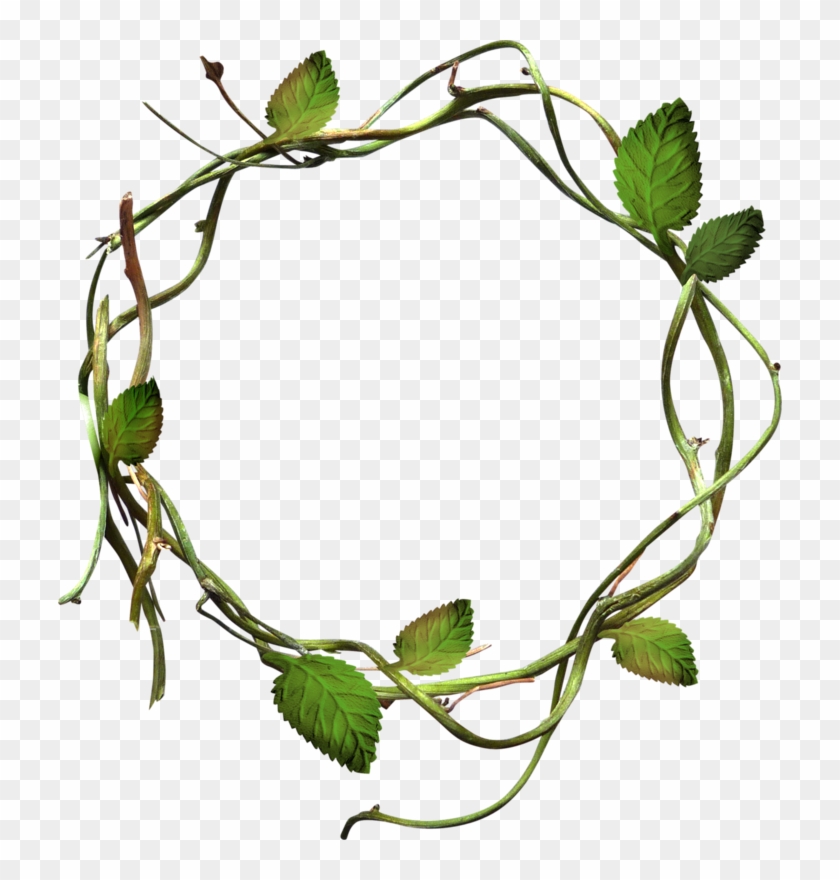 Green Leaves Grass Circle - Vines In A Circle #1335377