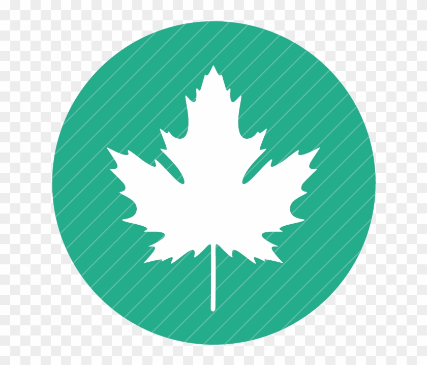 Synergee Canada - Leaf #1335840