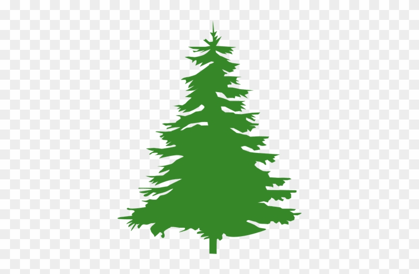 Pine Tree Silhouette - Tree #1335979