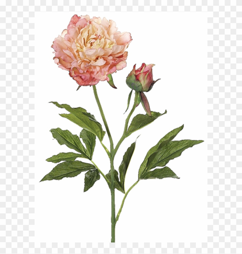 28" Peony Spray Salmon Peach - 28in. Peony Spray In Salmon Peach #1336020