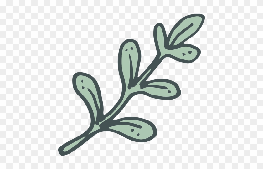 Drawn Branch Cartoon - Drawn Branch Cartoon #1336064