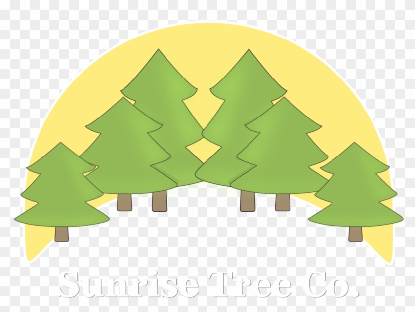 Christmas Tree #1336758