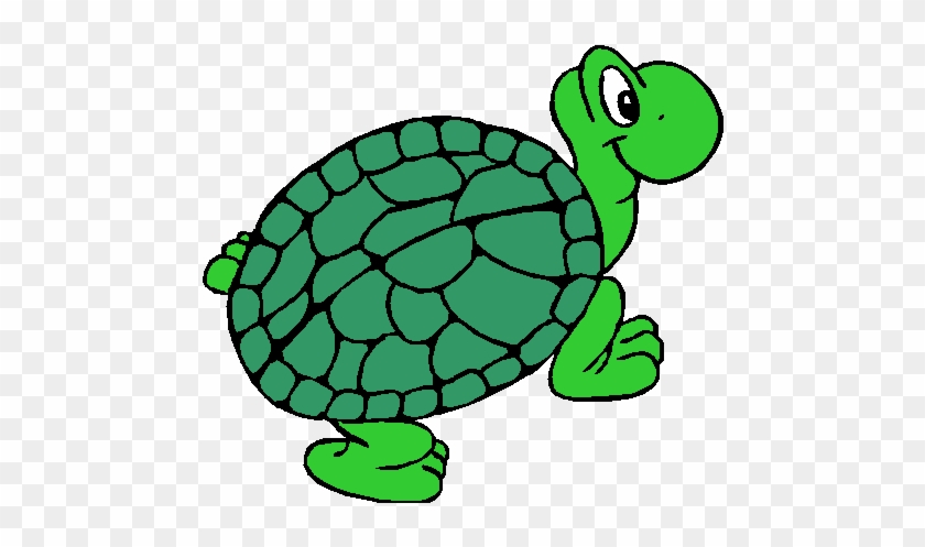Turtle Images Cartoon - Iota Phi Lambda Sorority #1336765