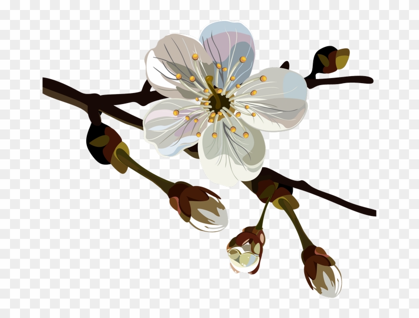 Card, The Card With Blossoming Apple-tree Branches - Accessory Geeks Apple Geeks Designer Line (gdl) Slim #1337181