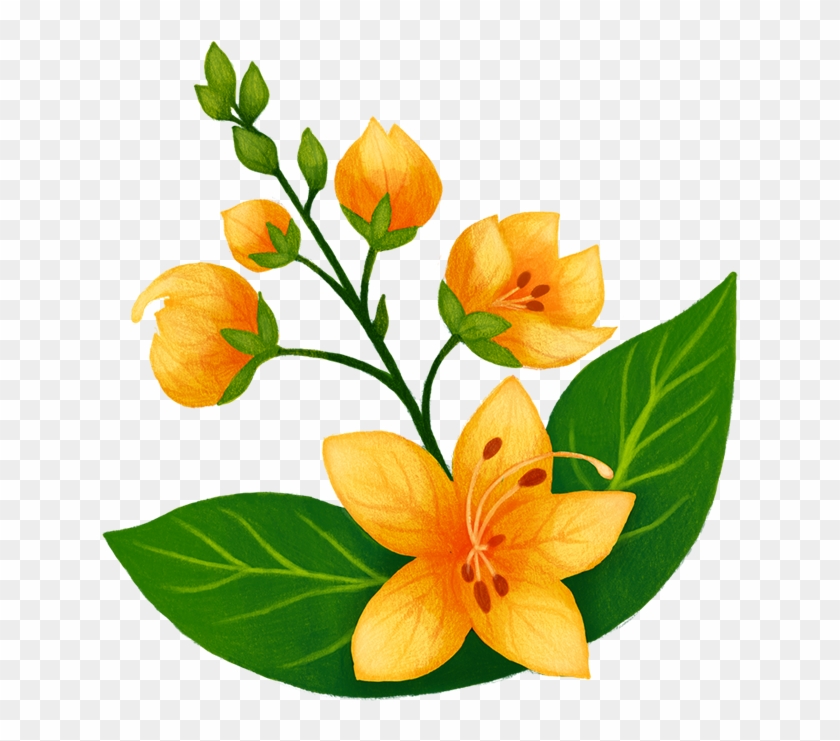 Thank You - Alstroemeriaceae #1337826