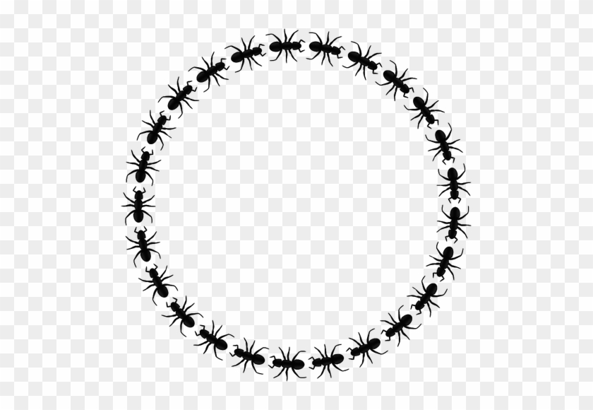 Vector Clip Art Of Ant With Six Legs - Icon Border Circle Png #1337921