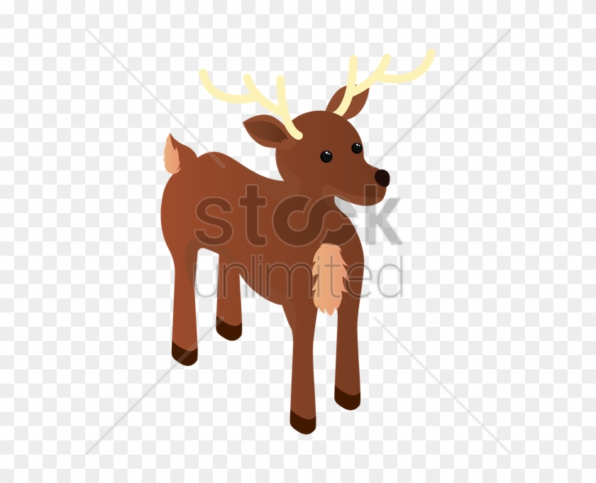Cattle - Reindeer #1338537