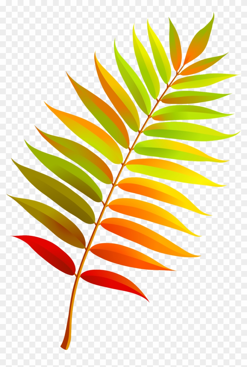 Autumn Leaves, Rubrics, Stencils, Clip Art, Flower - Pretty Leaf #1338939