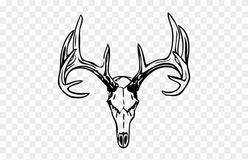 Drawings Of Deer Skulls - Man Deer Skull Tattoos #1339536