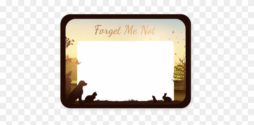 No Practice Input Needed After It Goes Live - Silhouette #1339761