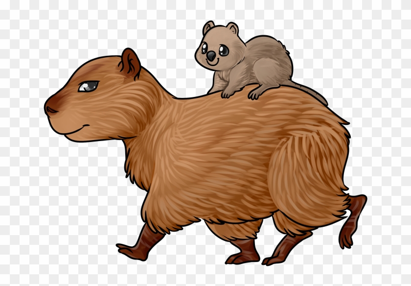 Capybara Clipart Transparent - Drawing #1339880