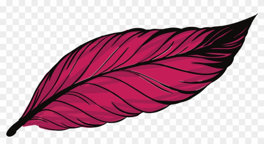 Feather Clipart Pluma - Imagenes De Plumas #1341243