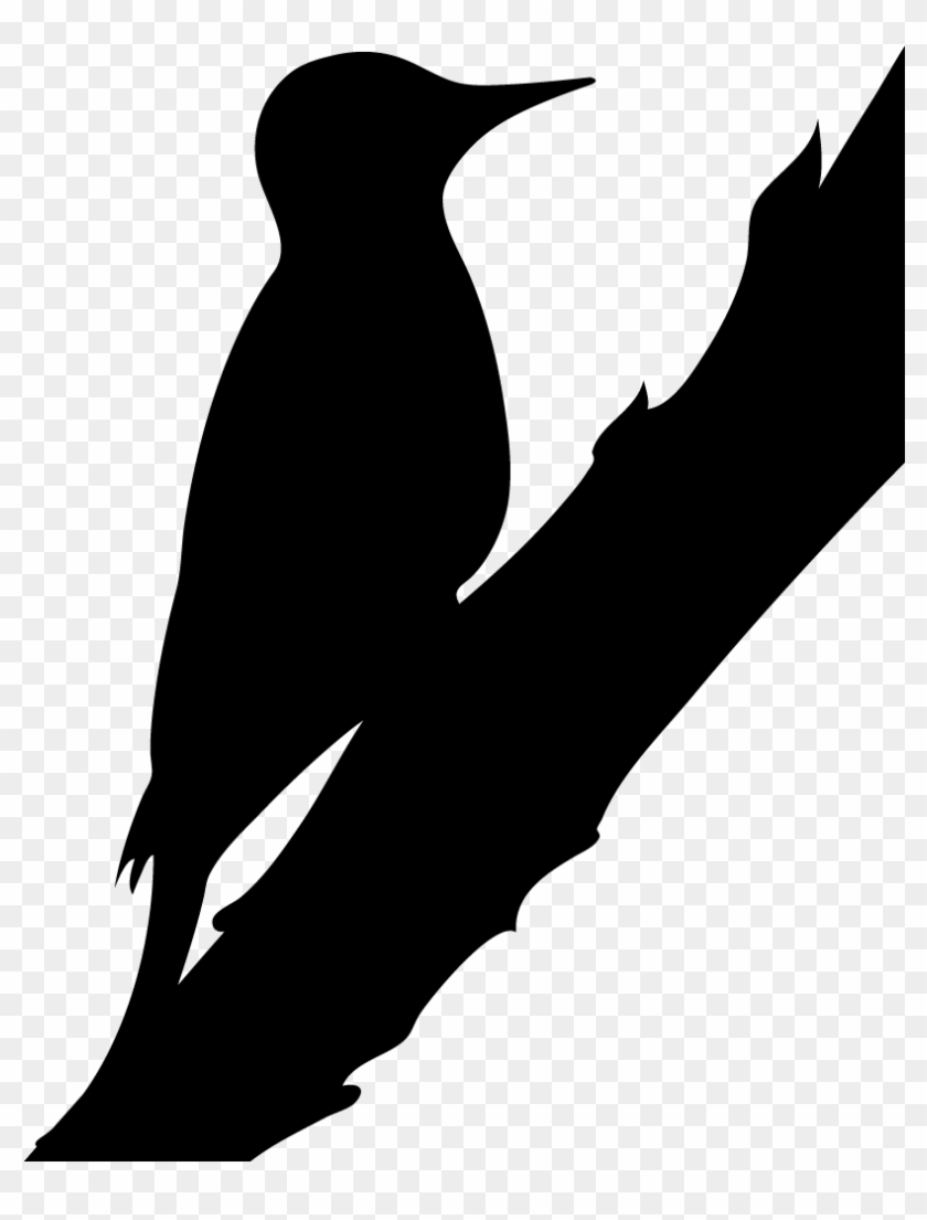 Silhouette Northern Flicker #1341477