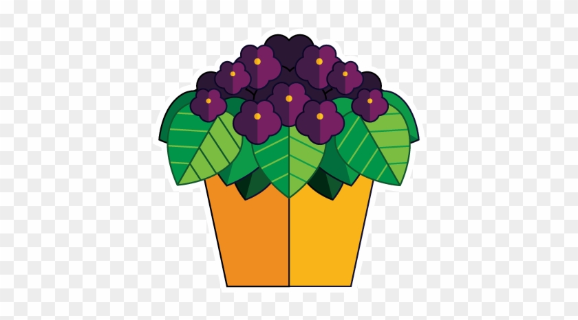 African Violets #1342726