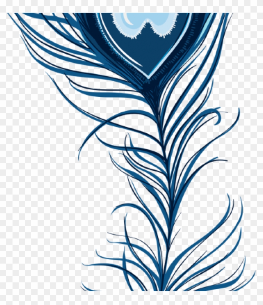 Peacock Feather Clipart Download Peacock Feather Free - Pfau-feder Danken Ihnen Karte #1343027
