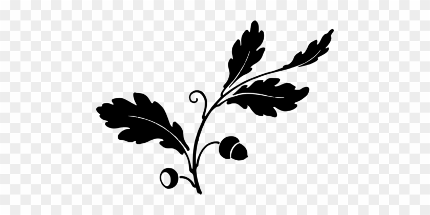 Acorn Drawing Leaf White Oak Tree - Oak Leaf Clip Art Silhouette #1343999