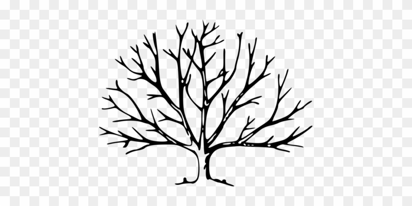 Leaf Tree Drawing Oak Branch - Tree With No Leaves #1344006