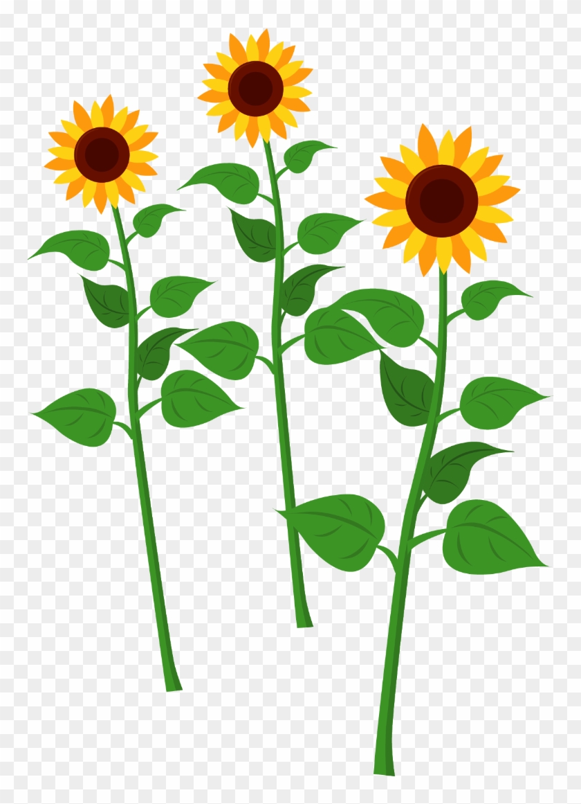 Sunflowers - Street #1344344