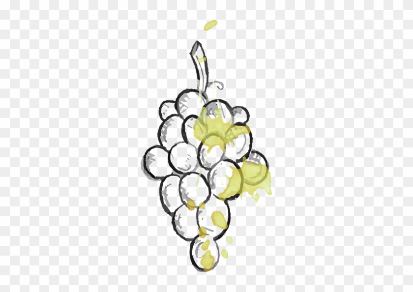 Wine Production - Wine Production #1345164