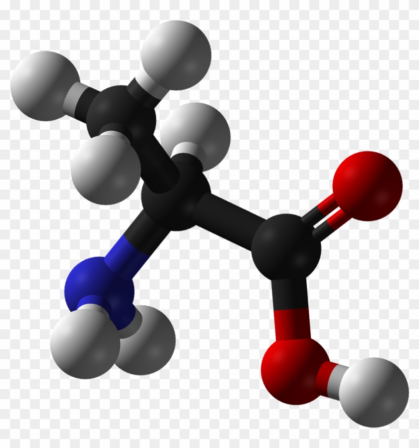 3d Balls And Columns, Size > S - Alanine 3d Structure #1345465