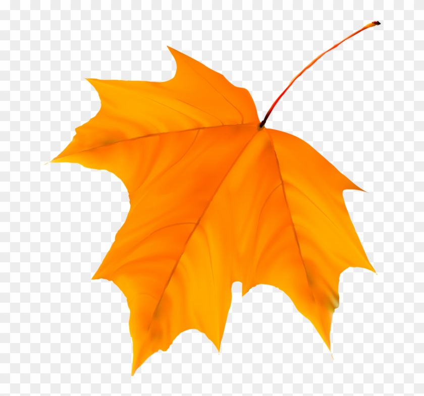 Clip Art - Hoja Amarilla Png #1345574