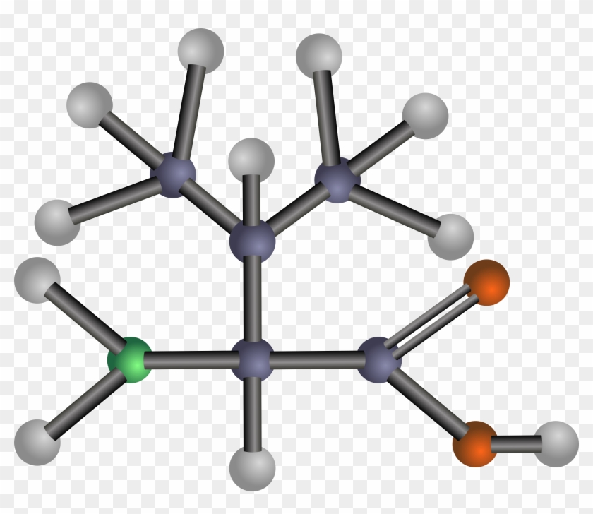Big Image - Amino Acids: Biochemistry And Applications #1345814