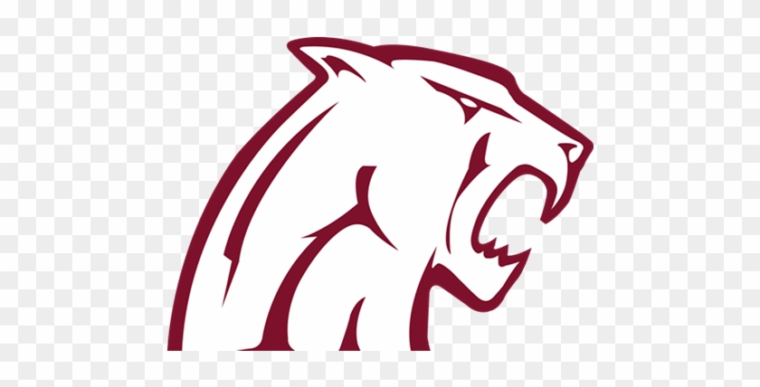 Concordmountain Lions - Concord University Football #1346850