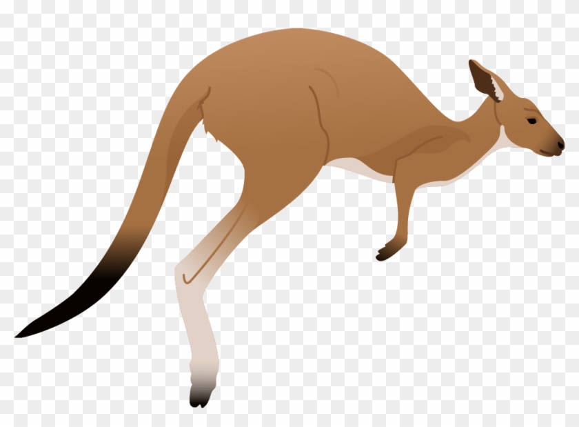 Kangaroo #1346999